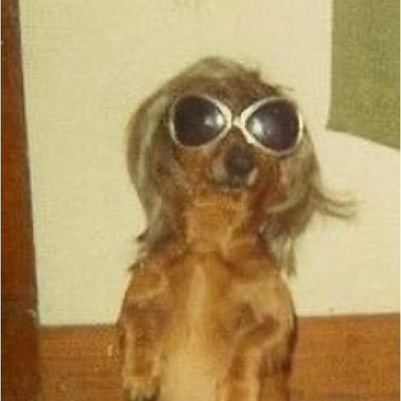 Meet your Posher, Casey - Picture 1 of 1